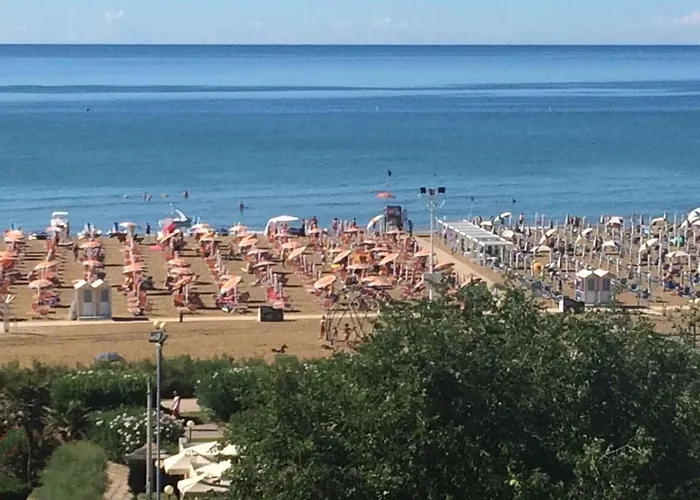 In 38258 * 比比翁