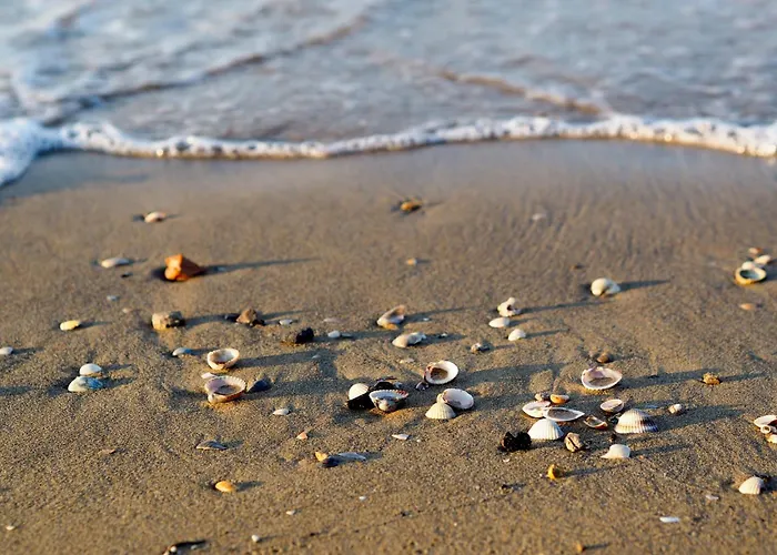 公寓 In 38258 比比翁